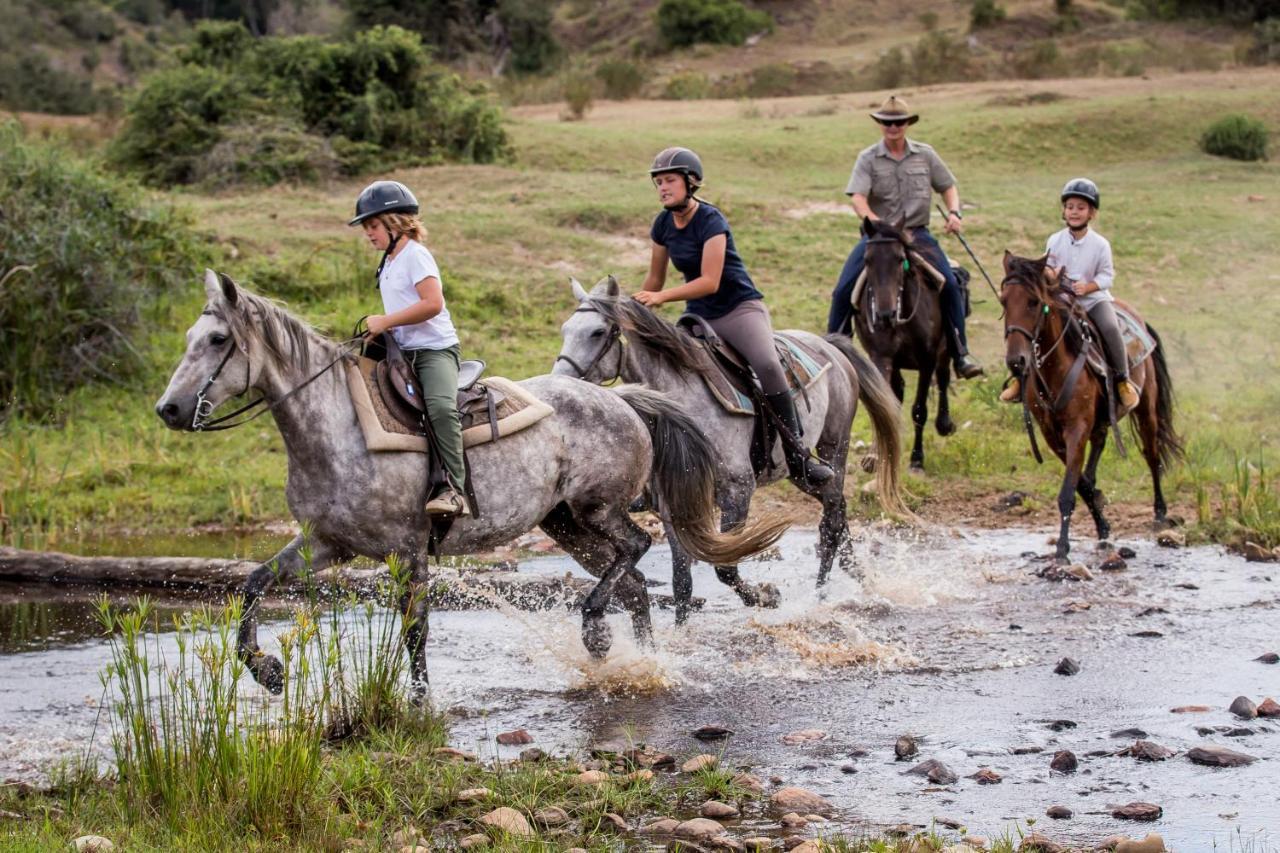 Botlierskop Private Game Reserve Reebok Ngoại thất bức ảnh