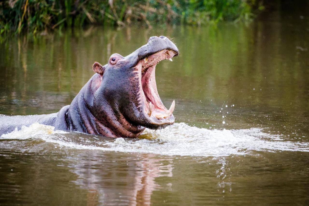 Botlierskop Private Game Reserve Reebok Ngoại thất bức ảnh