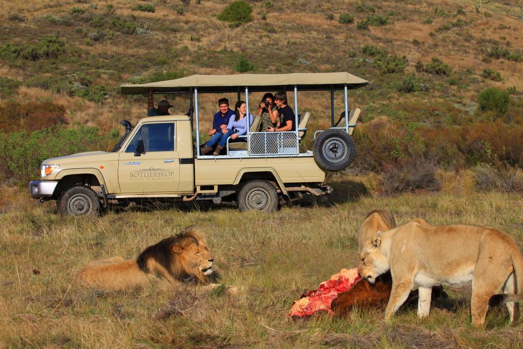 Botlierskop Private Game Reserve Reebok Ngoại thất bức ảnh
